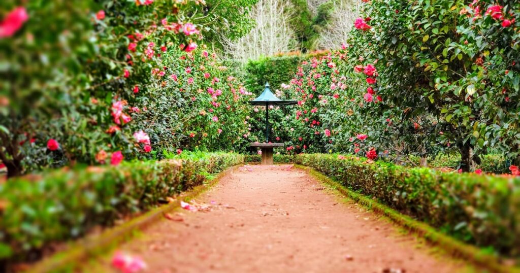 Caminho permeável e estável atravessando um jardim pequeno