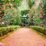 Caminho permeável e estável atravessando um jardim pequeno