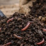 Farelo orgânico fermentado sendo medido para uso no solo
